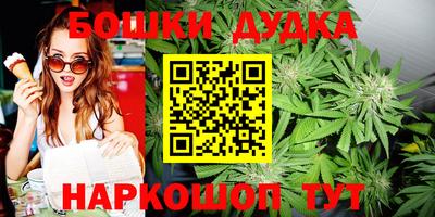 spice Дубна