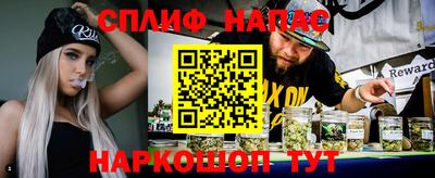 spice Дубна