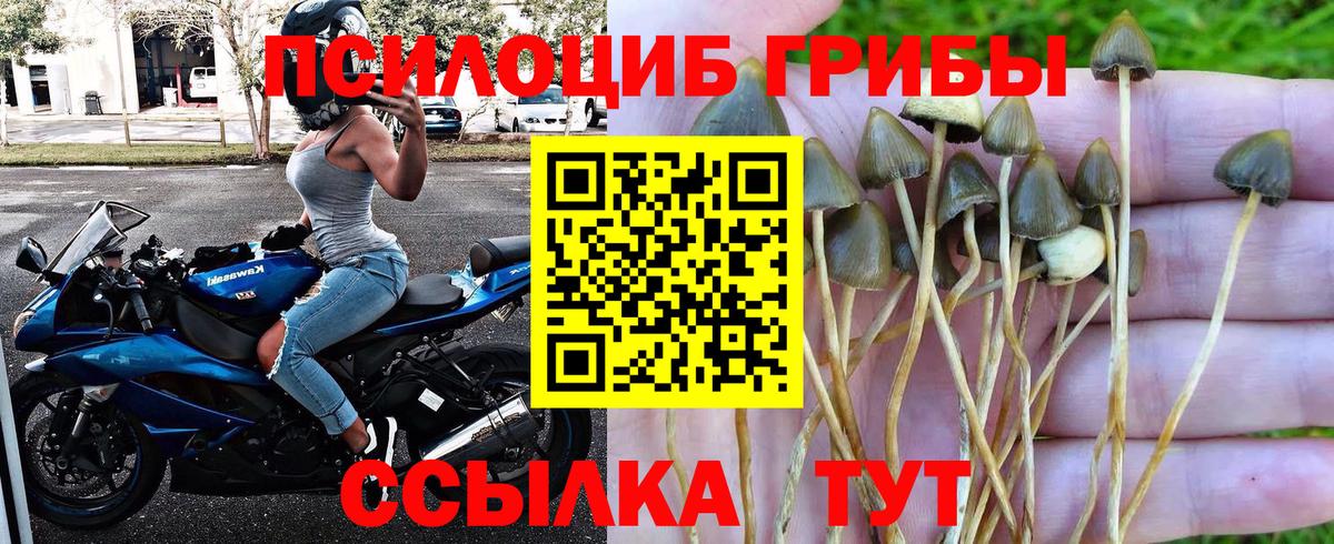 Галлюциногенные грибы MAGIC MUSHROOMS Малоярославец